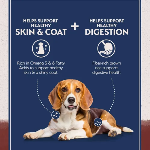 Vista 3 de Natural Balance Alimento seco para perros adultos de ingredientes limitados con granos saludables, receta de carne de res y arroz integral, 24