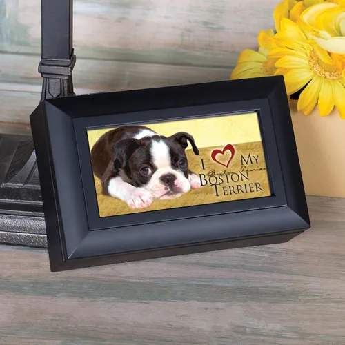 Vista 8 de Cottage Garden Love My Boston Terrier - Joyero negro mate con caja de música que reproduce un mundo maravilloso