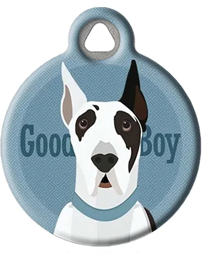 Vista 20 de Good Boy Airedale - Etiqueta de identificación personalizada para mascotas para perros y gatos, tamaño grande Airedale Good Boy
