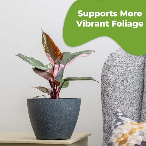 Vista 6 de Perfect Plants - Niebla foliar de filodendro lista para usar Alimento vegetal de interior para el crecimiento del follaje Mezcla equilibrada