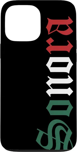 Vista 24 de Sonora Mexico Mexican Flag State Estado Case for iPhone 16
