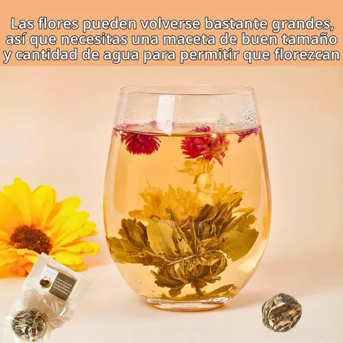 Vista 3 de Juego de regalo de té floreciente, 10 variedades únicas de bolas de té floreciente, VitalForest Envase individual hecho a mano de té verde