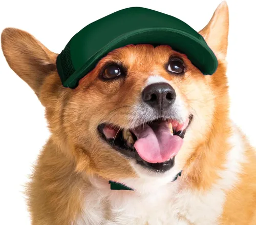 Vista 29 de DIY PupLid Trucker Hats (negro/blanco, XXS) - Sombrero de perro personalizable, lona en blanco para diseño personalizado, ajustable, protección