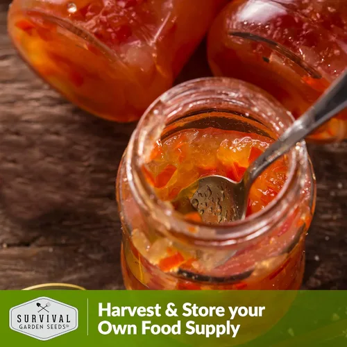 Vista 6 de Semillas de habanero naranja para plantar, pimiento picante afrutado con calor ardiente, variedad tradicional sin OMG para salsas y salsas, plantas