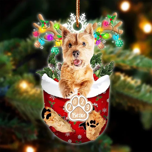 Vista 18 de NAZENTI Adorno Navideño de Bolsillo Personalizado de Affenpinscher en la Nieve, Adorno de Forma Acrílica de Perro, Adorno de Navidad 2023, Adorno
