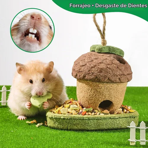 Vista 5 de Juguetes de conejillo de indias, paquete de 2 juguetes masticables de Juguetes masticables Timothy Heno Natural Treats Vegetales Moler los dientes