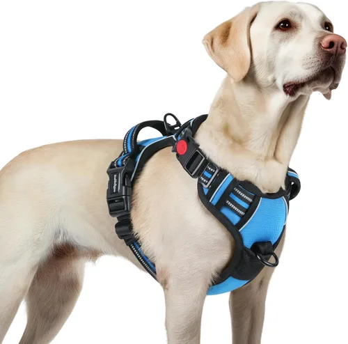 Vista 70 de Rabbitgoo - Arnés para perro de tamaño pequeño, actualizado, fácil de poner y quitar con 3 hebillas Sin tirones, sin estrangulamiento, caminar