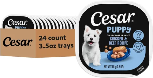 Vista 10 de Cesar Puppy Filets in Salsa Alimento húmedo para perros, pollo, 3.5 onzas