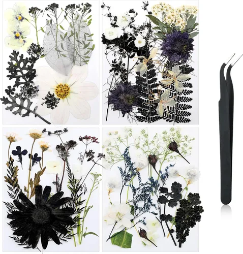 Vista 19 de Nuanchu Flores secas prensadas negras para manualidades, flores secas góticas, flores silvestres prensadas naturales a granel con pinzas para molde