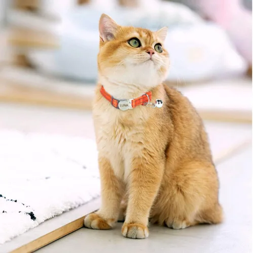 Vista 6 de Collar de gato reflectante personalizado con campana y hebilla separable, nombre grabado y número de teléfono