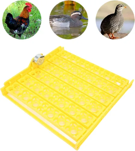 Vista 6 de Pssopp Bandeja automática de giro de huevos, mini incubadora de incubadora, herramienta automática de giro de huevos con motor para pollo, pato