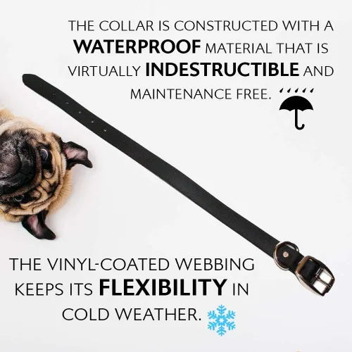 Vista 8 de Regal Dog Products Collares de perro pequeños negros impermeables con placa de nombre personalizada grabada Collar de perro de Biothane