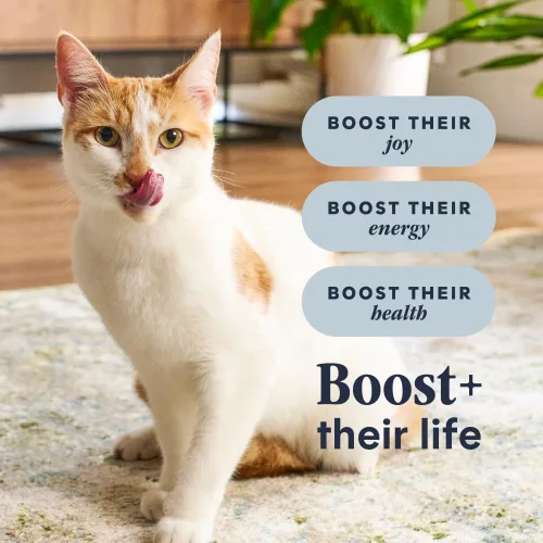 Vista 6 de Instinct Receta sin granos Raw Boost con pollo real natural seco para gatos, bolsa de 10 libras