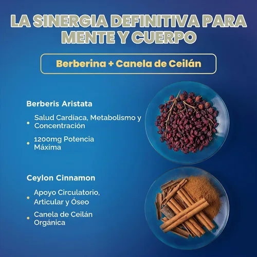 Vista 6 de Nutrivein Premium Berberine HCL 1200 mg - 120 Caps: Suplemento de berberina