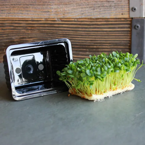 Vista 2 de Handy Pantry Micro Punnet Microgreens - Bandejas de cultivo de una sola porción – Paquete de 10 – 2 pulgadas por 3 pulgadas – 2 pulgadas de alto