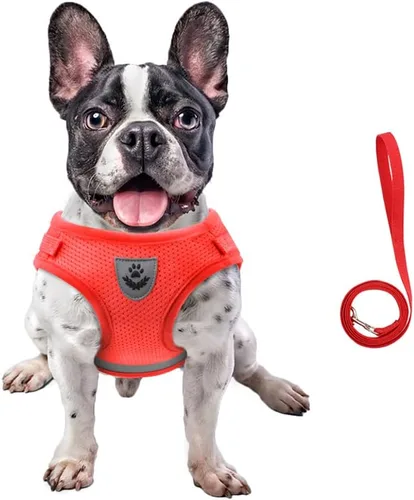 Vista 19 de FEimaX juego de arnés y correa para perro para caminar, de malla suave ajustable de control fácil, arneses de chaleco ligeros para gatos con tiras