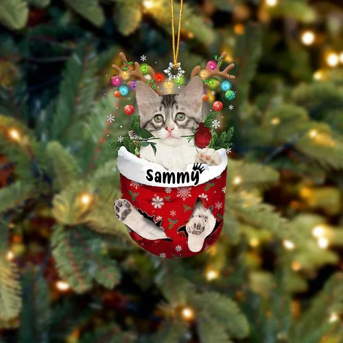 Vista 45 de Adorno personalizado de gato de rizo americano, adorno personalizado con nombre de mascota, colgante acrílico plano impreso en 2D, Papá Noel y gato