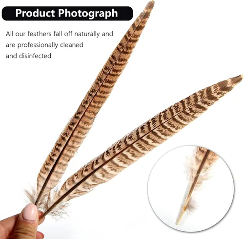 Vista 3 de THARAHT 24 plumas de faisán femenino, plumas naturales de 6 a 8 pulgadas, 5.9-7.9 in para manualidades, hogar, boda, fiesta, actuación, decoración