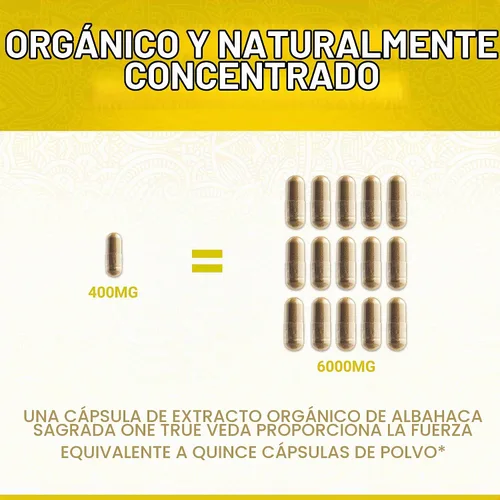 Vista 2 de Suplemento orgánico de albahaca sagrada del USDA, Tulsi 15:1, vitamina B6