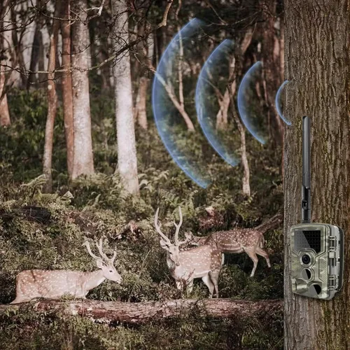 Vista 4 de Omni Direccional 4G LTE Cellular SMA Antena macho compatible con Spypoint LM2 Flex-S Flex-M Flex-Plus Trail Camera Moultrie Spartan Loatos Trail