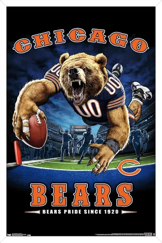 Vista 13 de Trends International NFL Chicago Bears - Póster de pared de End Zone 17, 14.725 x 22.375 pulgadas, versión enmarcada de madera de granero
