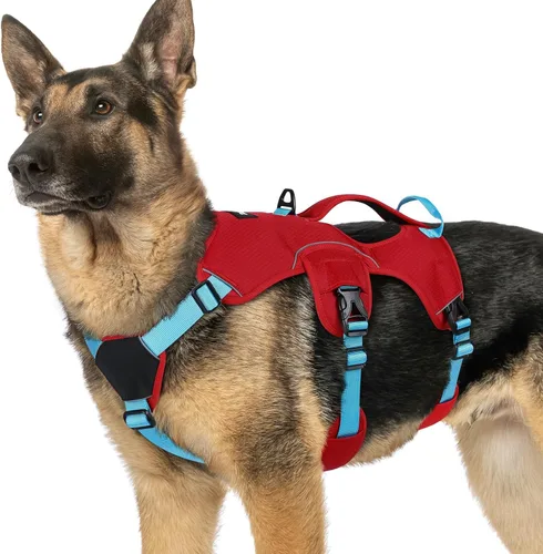 Vista 13 de rabbitgoo - Arnés para perros a prueba de fugas, arnés para mascotas acolchado y suave de cuerpo completo, arnés reflectante ajustable sin tirones
