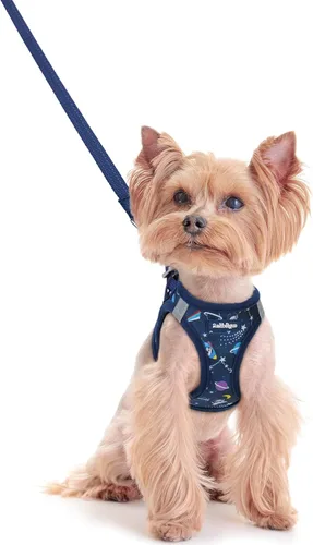 Vista 146 de rabbitgoo Arnés para perro de tamaño pequeño y juego de correa, chaleco Cachorros de manzana