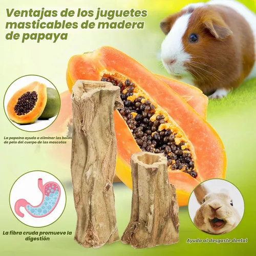 Vista 6 de Abizoo Juguetes masticables de conejo para conejos, 4 piezas de madera de papaya natural, palitos masticables de conejito para dientes, chinchilla