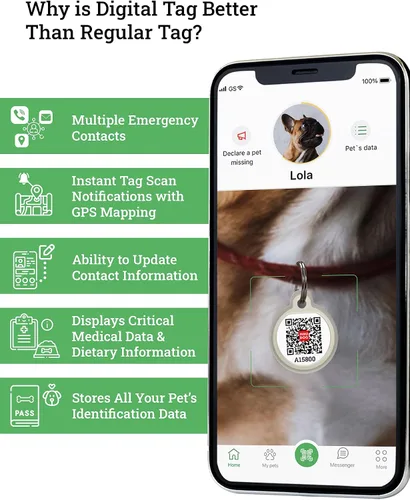 Vista 2 de Etiquetas de identificación de mascotas con código QR de silicona para perros y gatos, etiqueta silenciosa con nombre de perro y etiqueta de nombre
