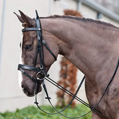 Vista 7 de NEFTF - Cuerda de entrenamiento ajustable ajustable con riendas de caballo de 9.8 pies
