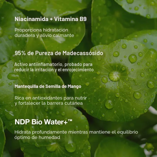 Vista 5 de NATURAL DERMA PROJECT Base de maquillaje de vitamina B9, hidratante, crema iluminadora de tono brillante 2.2 fl oz