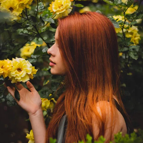 Vista 6 de Polvo de henna - Tinte para el cabello rojo - Orgánico fresco y puro - 7 onzas - Indian Natural Hair Care