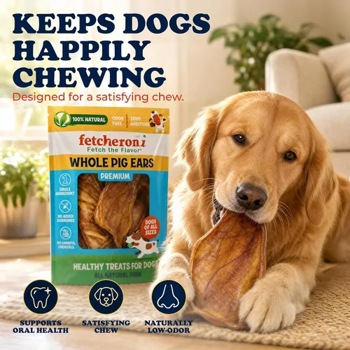 Vista 2 de FETCHERONI Orejas de cerdo enteras para masticables para perros, golosinas duraderas para perros, L, 30