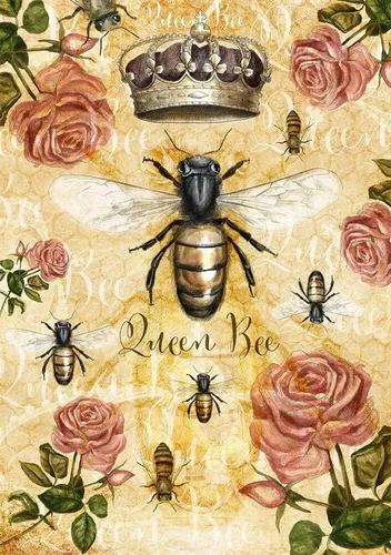 Vista 11 de Papel de Arroz para Decoupage A4 AVES, MARIPOSA, DRAGONFLY, ANIMALES (Retratos de Animales - 2 Hojas)