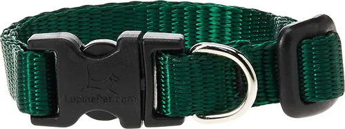 Vista 9 de LupinePet Basics - Collar ajustable rojo de 1/2 pulgadas, 10-16 pulgadas, para perros pequeños