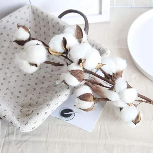 Vista 6 de Tallos de algodón seco natural para jarrón, ramo de primavera y verano de 17 pulgadas, decoración del hogar o ramos de boda de bricolaje, 10 ramitas
