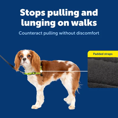 Vista 4 de PetSafe Deluxe Easy Walk - Arnés para perro sin tirones, color verde Manzana Verde (Apple Green)