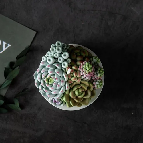 Vista 7 de Surtido suculento olla perfumada vela de cera vegetal para spa decoración del hogar regalo de boda