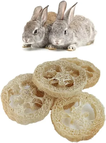 Vista 6 de Paquete de 15 juguetes masticables de conejo, sin aditivos, golosinas para moler dientes, lufa natural, juguetes masticables para masticar dientes