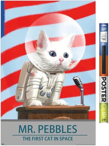 Vista 17 de Trends International Fallout 4 - Póster de pared de Mr. Pebbles - El primer gato en el espacio, 14.72 x 22.37 pulgadas, versión enmarcada de madera