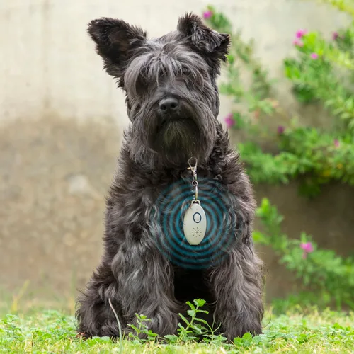Vista 3 de Antiparásitos por Ultrasonidos Recargable para Mascotas PetRep InnovaGoods