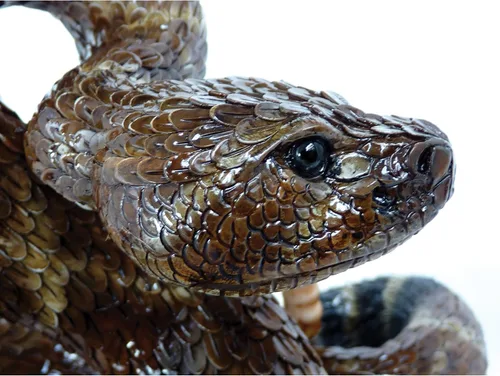 Vista 6 de Michael Carr Designs Western Diamondback Rattlesnake L - Figura de serpiente para exteriores, para jardines, patios y césped (80057), color marrón