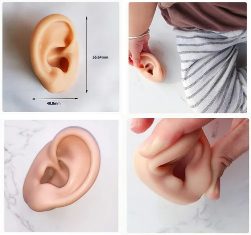 Vista 5 de Modelo de oreja de silicona suave para audífono 1:1 modelo de oreja humana modelo de simulación, accesorios de exhibición de herramientas de 1 pieza
