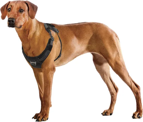 Vista 19 de Outward Hound Boulder Adventure - Arnés ajustable para perro con bolsillos, turquesa, mediano