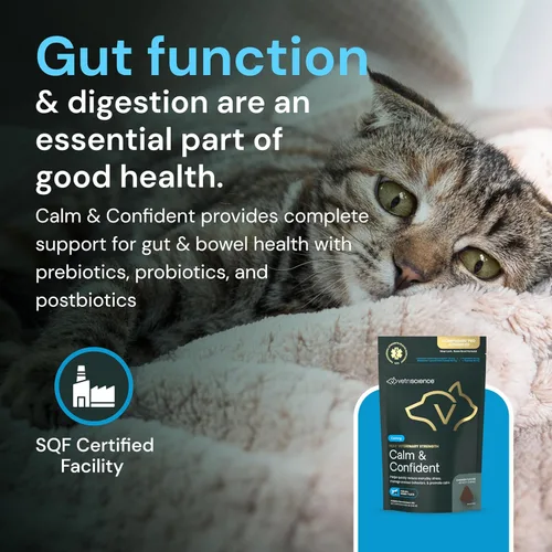 Vista 7 de VETRISCIENCE Max Veterinary Strength Calm & Confident Chews - Suplemento de estrés para mascotas - Apoya la función cerebral para gatos y perros