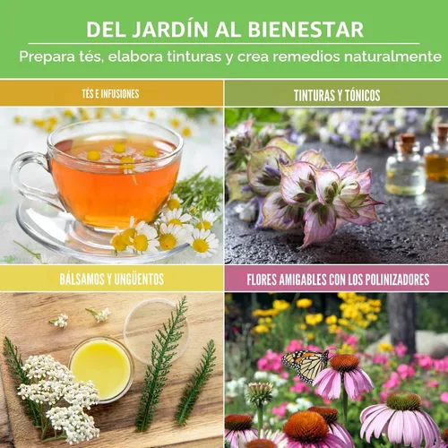 Vista 4 de Paquete de Variedad de Semillas de Hierbas Medicinales Ultimate – 36 Hierbas Curativas Heirloom sin OGM para Plantar Kit de Jardín de Bienestar