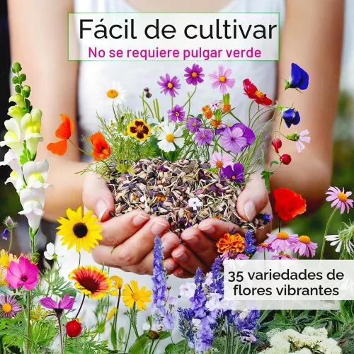 Vista 2 de NatureZ Edge Semillas de flores silvestres, 1/2 libra, 340,000 semillas, 35 variedades de semillas de flores perennes y anuales para plantar