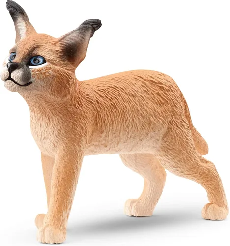 Vista 7 de Schleich Wild Life - Figura de juguete realista de caracal femenina, juguete de animal auténtico y altamente detallado, duradero para la educación