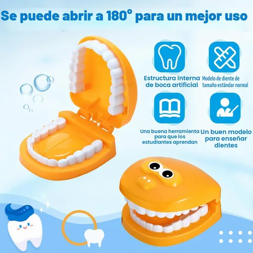 Vista 5 de Skylety Juego de 2 dientes modelo de dentista con cepillo de dientes