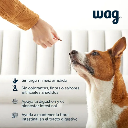 Vista 2 de Marca Amazon – Suplemento probiótico Wag masticables diarios para perros, apoya la digestión y la salud intestinal, sabor natural de pato, 90